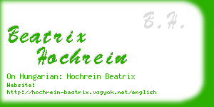 beatrix hochrein business card